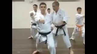 GOLPEAR COM QUADRIL, DEFENDER COM QUADRIL | Helio Arakaki Sensei