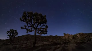 Night Sky Time-lapse in Joshua Tree National Park