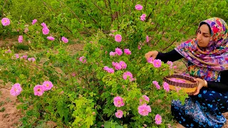 The Scent of Spring - Rose Petal Jam Recipe in Village