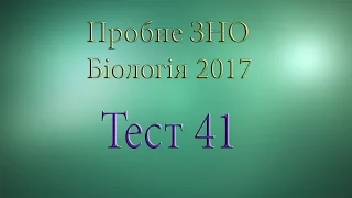 Тест 41