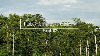 Módulo 2   Títublos habilitantes forestales