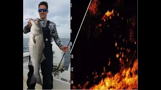 Garmin Livescope in Action on Big Stripers