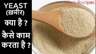 यीस्ट (ख़मीर) कैसे काम करता है ?What is yeast? How Yeast Works? Types of Yeast