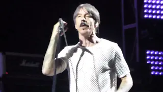 Red Hot Chili Peppers Live Full Show Lollapalooza Music Festival Grant Park Chicago IL August 6 2023