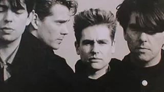 echo and the bunnymen - bombers bay