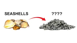Making Calcium metal from seashells
