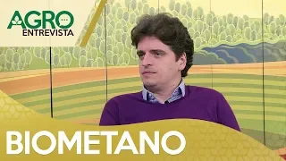 O mercado nacional de Biometano |AgroEntrevista