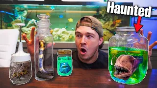 DON’T ORDER HAUNTED LIVE FISH OFF THE WEB...