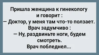 У Женщины Там Что то Ползает! Сборник Свежих Анекдотов! Юмор!