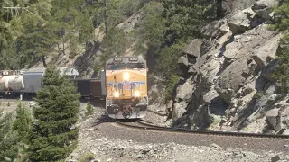 4K: Freight Trains on the Feather River Canyon (August 2023)