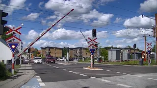 Spoorwegovergang Haslev (DK) // Railroad crossing // Jernbaneoverskæring