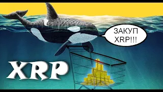 Киты жадно ВЫКУПАЮТ и НАКАПЛИВАЮТ XRP / Зарплата в XRP!!!