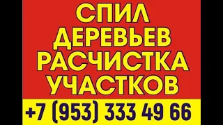 Спил деревьев любой сложности по Калужской области