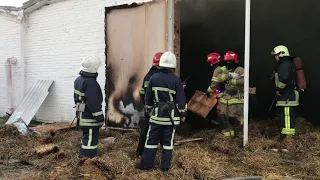Львівська область: вогнеборці ліквідували пожежу в пташнику