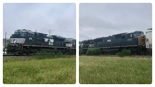 NS 1173 (w/ PRLX 4685) Leads the MEWFWX at College Station, TX 5/12/24