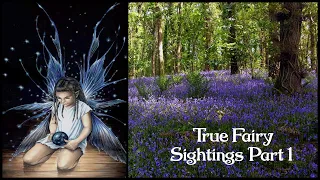 I Saw A Faerie! True Fairy Sightings & Encounters with Strange Fairy Beings Part 1