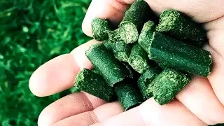 Травяные гранулы - новая бизнес идея