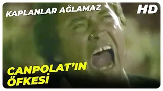 Kaplanlar Ağlamaz - Bizim Hayatımız Ateş ile Barut! | Cüneyt Arkın Eski Türk Filmi