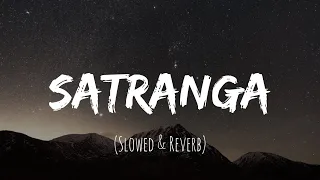 Satranga (Slowed + Reverb) | Arijit Singh | Animal | Lyrics Cloud ☁️