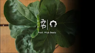 [FREE] "Ficus" - Bruno Mars / Dua Lipa Funky Disco Type Beat | Prod. Miya Beats