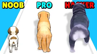 NOOB vs PRO vs HACKER in Dog Evolution Run!