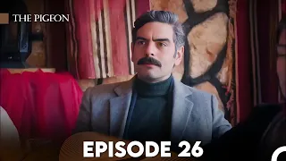 The Pigeon Episode 26 (FULL HD)