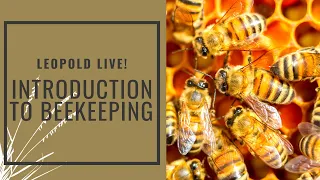 Leopold Live: Introduction to Beekeeping