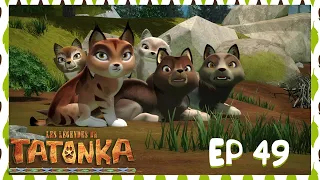 Tatonka en Français 🐺 Sécheresse 🥵 Dessin animé de loups