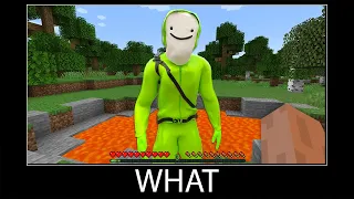 Minecraft wait what meme part 162 realistic minecraft Dream @dream