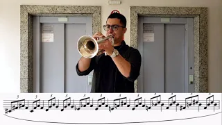 Exercícios de Flexibilidade no Trompete  - Daniel Leal Trompete .