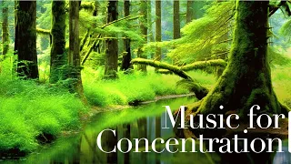 Deep Focus Music To Improve Concentration - Ambient Study Music to Concentrate