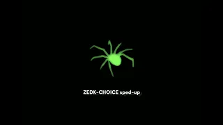 ZEDK-CHOICE sped-up