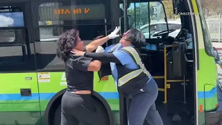 Dash Bus Driver Assaulted By Transient CAUGHT ON CAMERA