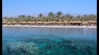 منتجع شرم دريمز .. Sharm Dreams Resort