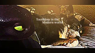 Toothless (+ my dog) in the modern world || HTTYD crossover || 900 subscriber special