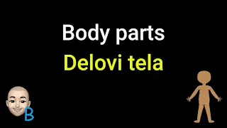 Complete Course Lesson 23 - Body Parts ★ Learn Serbian  #serbian #srpski #teacherboko