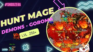 HUNT MAGE LVL 250 🧙‍♂️