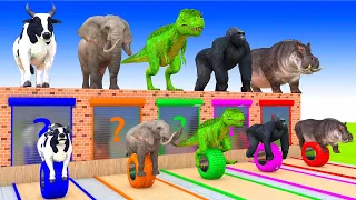 Cow Elephant Tiger Gorilla T-Rex Guess The Right Door ESCAPE ROOM CHALLENGE Animals Tire Game