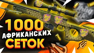 КУПИЛ 1000 AWP | Африканская Сетка в КС 2. Попались РЕДКИЕ ДОРОГИЕ наклейки. Заработал на скинах?!