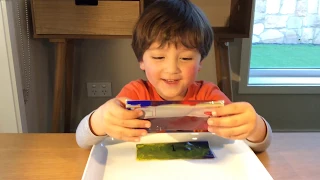 Color Mixing Experiment For Kids! 色の実験! Easy, Fun, and No Mess