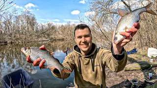 РОЗМІР ПЛІТКИ і ТЕМП ЛОВУ просто дивовижний. 🐟🐟🐟 Фідерна риболовля. ХІД ПЛІТКИ