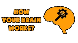 Your Brain At Work By David Rock | Animated Book Summary