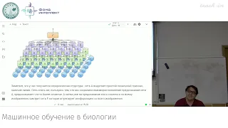 Пензар Д.Д. - Машинное обучение в биологии. Лекции - 9. Сверточные нейронные сети