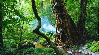 Solo Bushcaft: 30 Day Build Bushcaft tower next to giant tree. Hunting and gathering - P.2