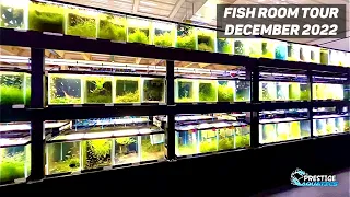 Fish Room Tour December 2022 - Top 5 Fish Room in the US! (350+ Aquariums)
