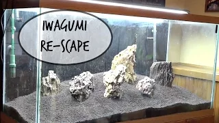 90 Gallon Iwagumi Aquascape - Part 1