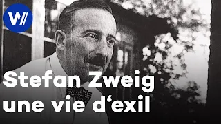 Stefan Zweig - Portrait d'un auteur profondément humaniste et pacifiste