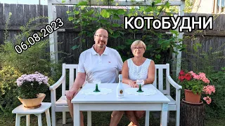 КОТоБУДНИ, 6 августа 2023 г.: Организуем питание и сон в путешествии; Встреча с почтальоном Печкиным