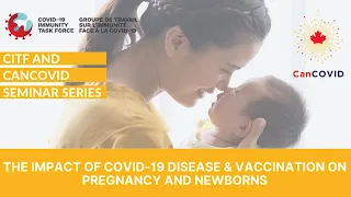 Seminar Series with CITF​: The Impact of COVID-19 disease & vaccination on pregnancy and newborns