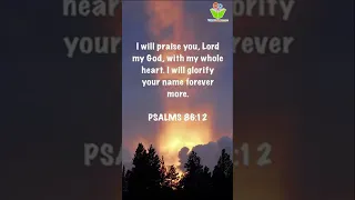 I will praise you, lord, my god #bible quotes #christ #proverbs #thinkcreatelearn